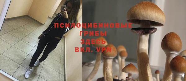 СК Абинск
