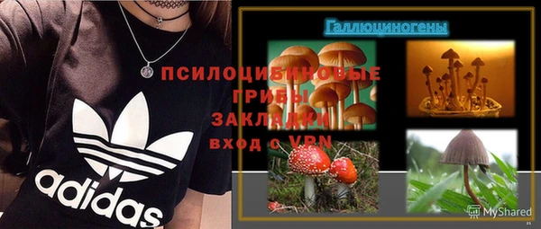 прущая мука Абаза