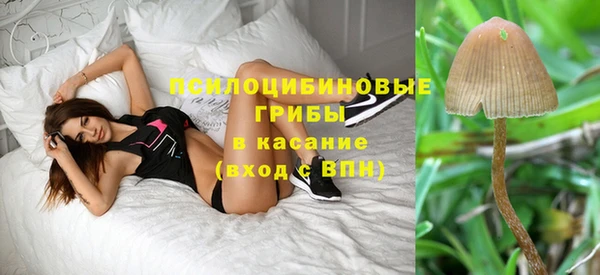прущая мука Абаза