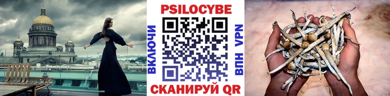 Галлюциногенные грибы Psilocybine cubensis  Новое Девяткино 