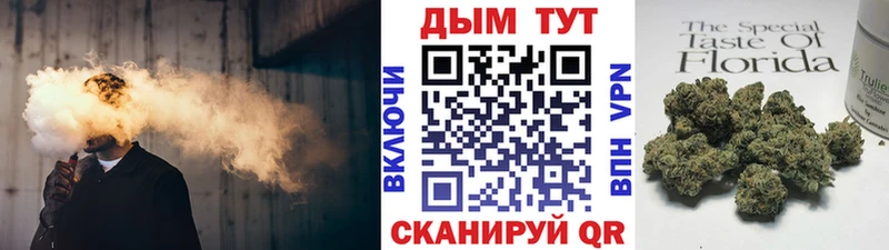 Конопля конопля  купить наркотики цена  Новое Девяткино 